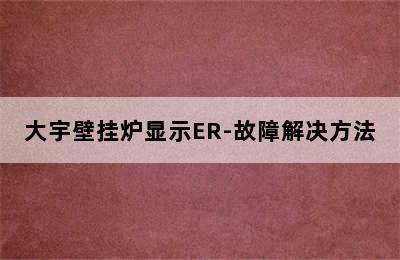 大宇壁挂炉显示ER-故障解决方法