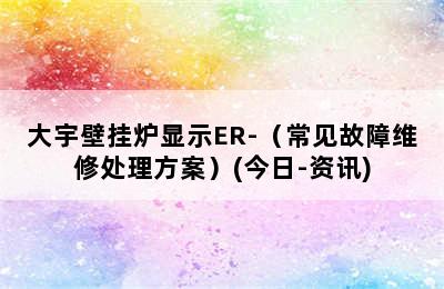 大宇壁挂炉显示ER-（常见故障维修处理方案）(今日-资讯)