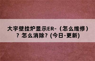 大宇壁挂炉显示ER-（怎么维修）？怎么消除？(今日-更新)