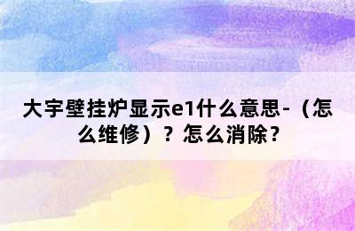 大宇壁挂炉显示e1什么意思-（怎么维修）？怎么消除？