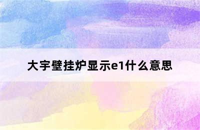 大宇壁挂炉显示e1什么意思