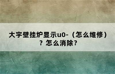 大宇壁挂炉显示u0-（怎么维修）？怎么消除？