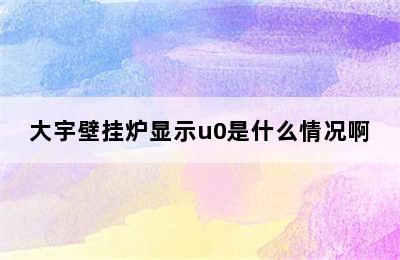 大宇壁挂炉显示u0是什么情况啊