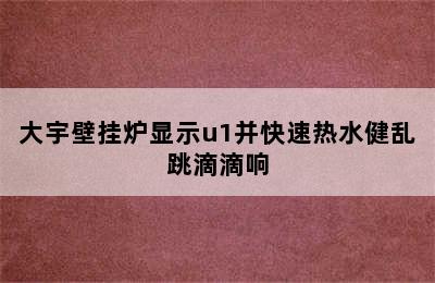 大宇壁挂炉显示u1并快速热水健乱跳滴滴响