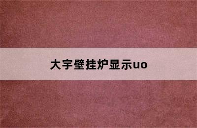 大宇壁挂炉显示uo