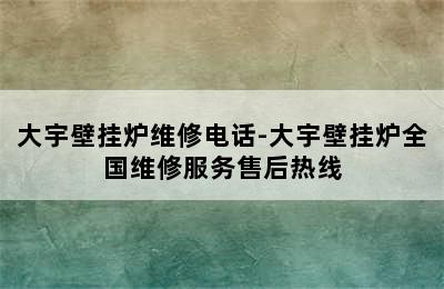 大宇壁挂炉维修电话-大宇壁挂炉全国维修服务售后热线