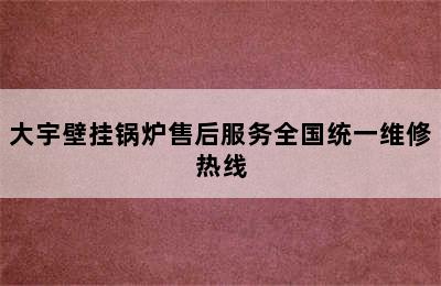 大宇壁挂锅炉售后服务全国统一维修热线