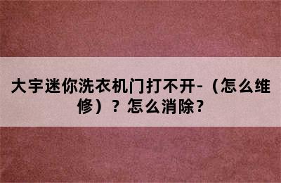 大宇迷你洗衣机门打不开-（怎么维修）？怎么消除？