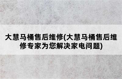 大慧马桶售后维修(大慧马桶售后维修专家为您解决家电问题)