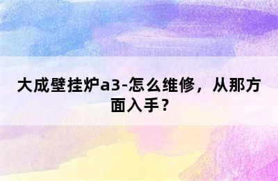 大成壁挂炉a3-怎么维修，从那方面入手？