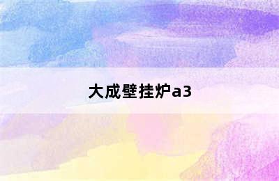 大成壁挂炉a3