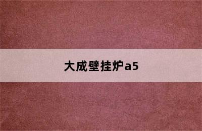 大成壁挂炉a5