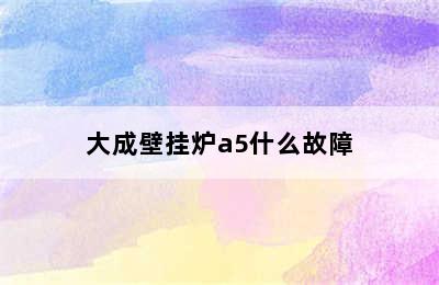 大成壁挂炉a5什么故障