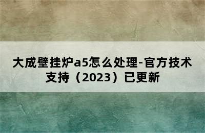 大成壁挂炉a5怎么处理-官方技术支持（2023）已更新