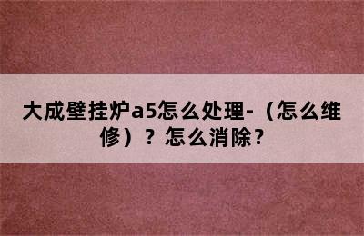 大成壁挂炉a5怎么处理-（怎么维修）？怎么消除？