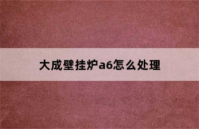 大成壁挂炉a6怎么处理