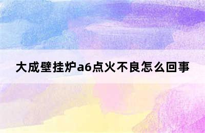 大成壁挂炉a6点火不良怎么回事