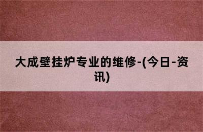 大成壁挂炉专业的维修-(今日-资讯)