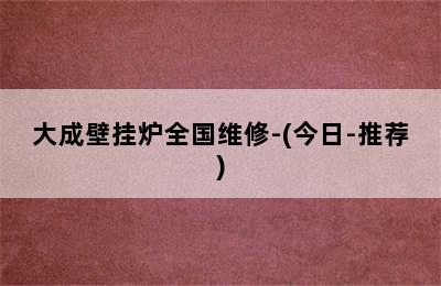 大成壁挂炉全国维修-(今日-推荐)