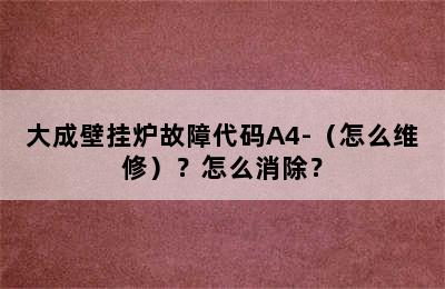 大成壁挂炉故障代码A4-（怎么维修）？怎么消除？