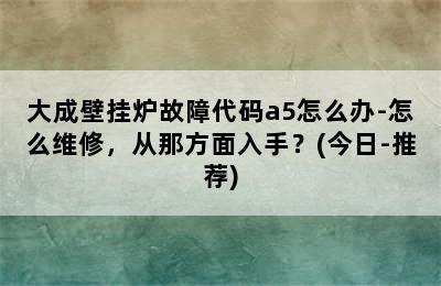 大成壁挂炉故障代码a5怎么办-怎么维修，从那方面入手？(今日-推荐)