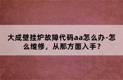 大成壁挂炉故障代码aa怎么办-怎么维修，从那方面入手？