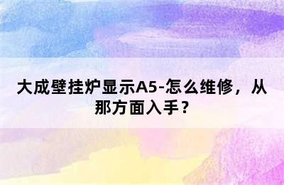 大成壁挂炉显示A5-怎么维修，从那方面入手？