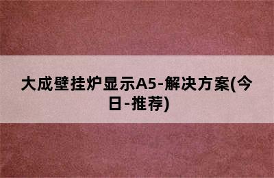 大成壁挂炉显示A5-解决方案(今日-推荐)