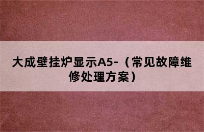 大成壁挂炉显示A5-（常见故障维修处理方案）