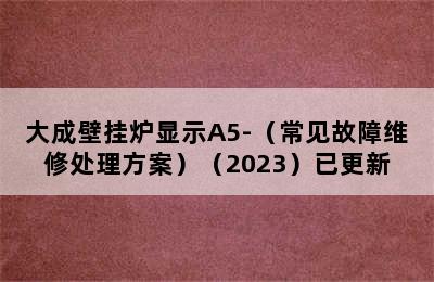 大成壁挂炉显示A5-（常见故障维修处理方案）（2023）已更新