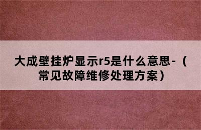 大成壁挂炉显示r5是什么意思-（常见故障维修处理方案）