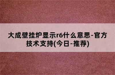 大成壁挂炉显示r6什么意思-官方技术支持(今日-推荐)