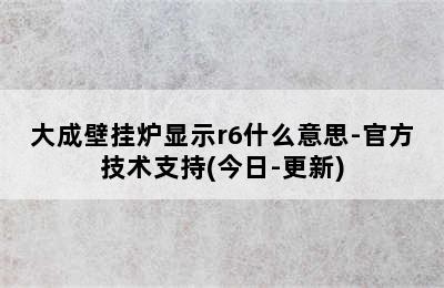 大成壁挂炉显示r6什么意思-官方技术支持(今日-更新)