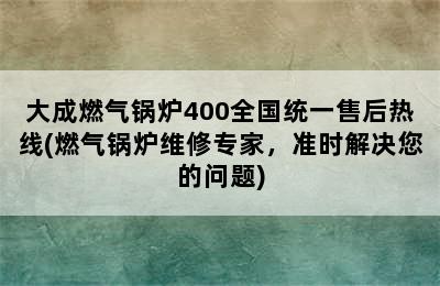 大成燃气锅炉400全国统一售后热线(燃气锅炉维修专家，准时解决您的问题)