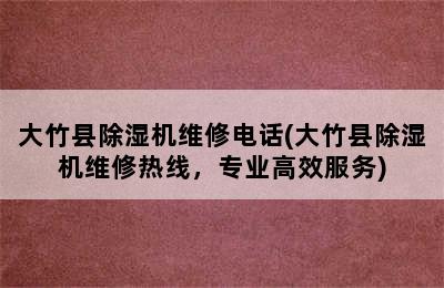 大竹县除湿机维修电话(大竹县除湿机维修热线，专业高效服务)