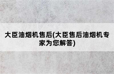 大臣油烟机售后(大臣售后油烟机专家为您解答)