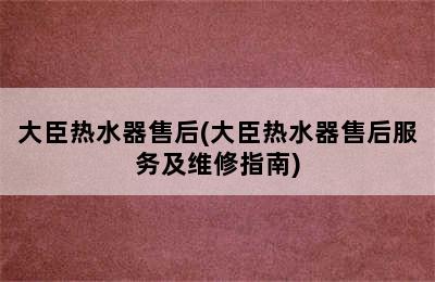 大臣热水器售后(大臣热水器售后服务及维修指南)