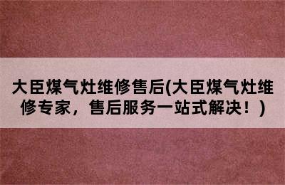 大臣煤气灶维修售后(大臣煤气灶维修专家，售后服务一站式解决！)