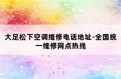 大足松下空调维修电话地址-全国统一维修网点热线