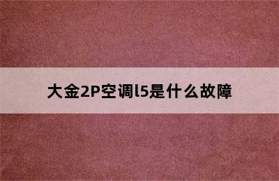 大金2P空调l5是什么故障