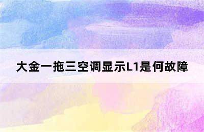 大金一拖三空调显示L1是何故障