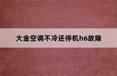 大金空调不冷还停机h6故障