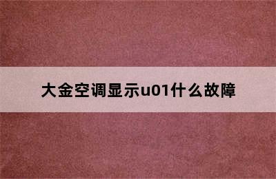 大金空调显示u01什么故障