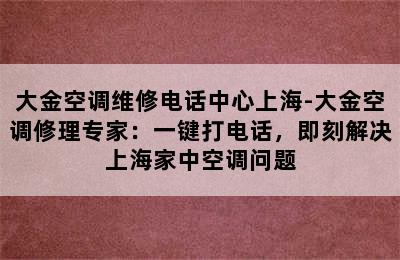 大金空调维修电话中心上海-大金空调修理专家：一键打电话，即刻解决上海家中空调问题