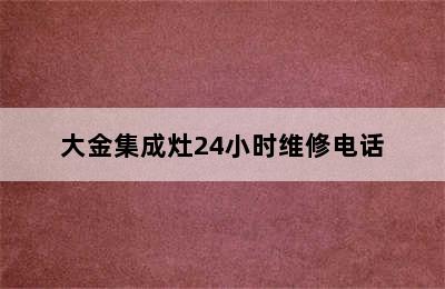 大金集成灶24小时维修电话