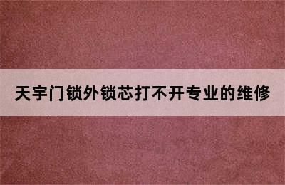 天宇门锁外锁芯打不开专业的维修