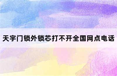 天宇门锁外锁芯打不开全国网点电话