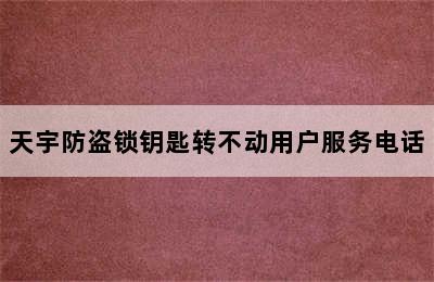 天宇防盗锁钥匙转不动用户服务电话