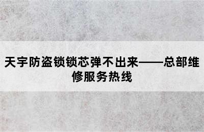 天宇防盗锁锁芯弹不出来——总部维修服务热线