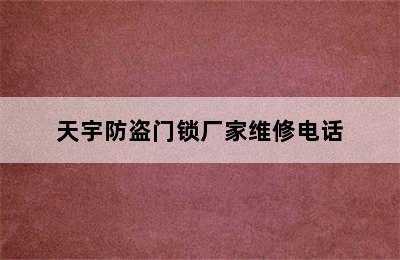 天宇防盗门锁厂家维修电话